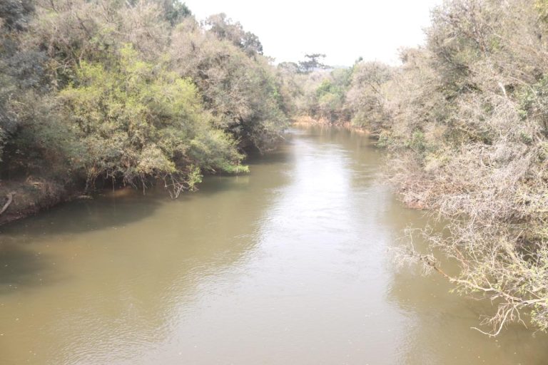 agua-rio-negro-foto-elvis-lozeiko-2-23928