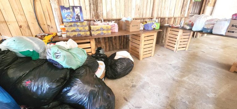 arrecadacao-de-donativos-layra-olsen-2-21272