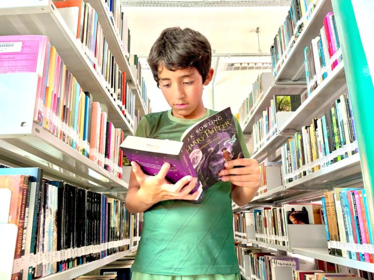 biblioteca-serra-alta-deivid-jonei-schritki-5-20485