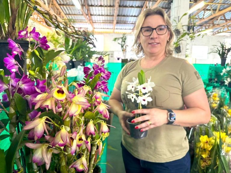 exposicao-de-orquideas-layra-olsen-10-23742