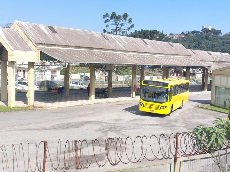 tarifa-zero-transporte-5-22517