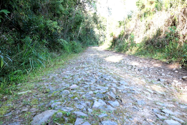 estrada dona francisca