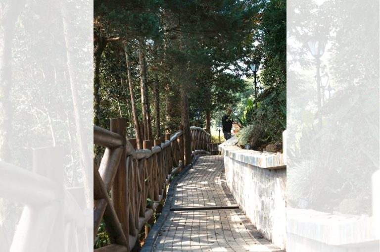 Bosque São Bento
