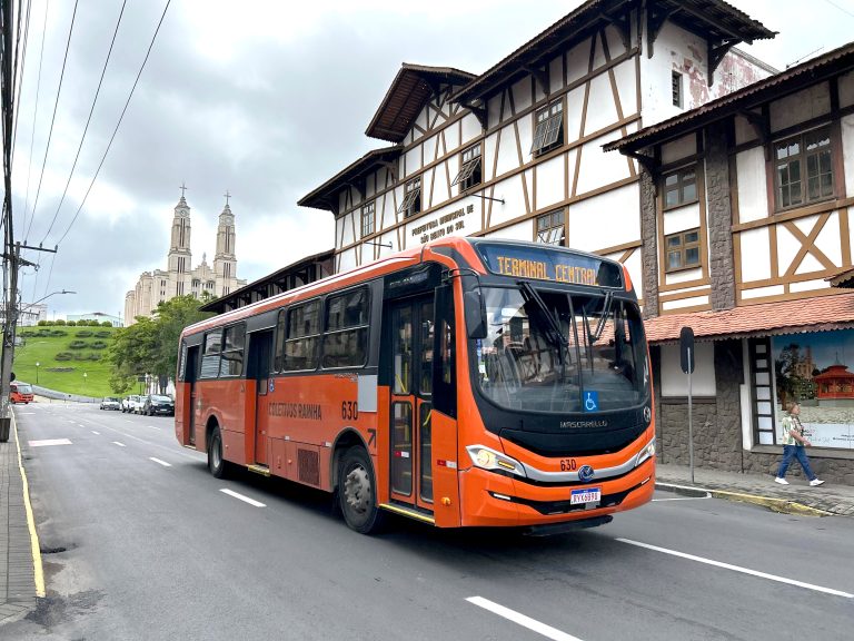 CAPA TRANSPORTE COLETIVO - Zuciane Peres (4)