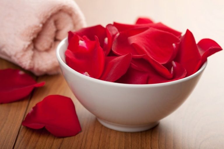 Pétalas de rosa vermelhas em tigela branca de porcelana em cima de mesa de madeira com toalha de banho rosa ao lado