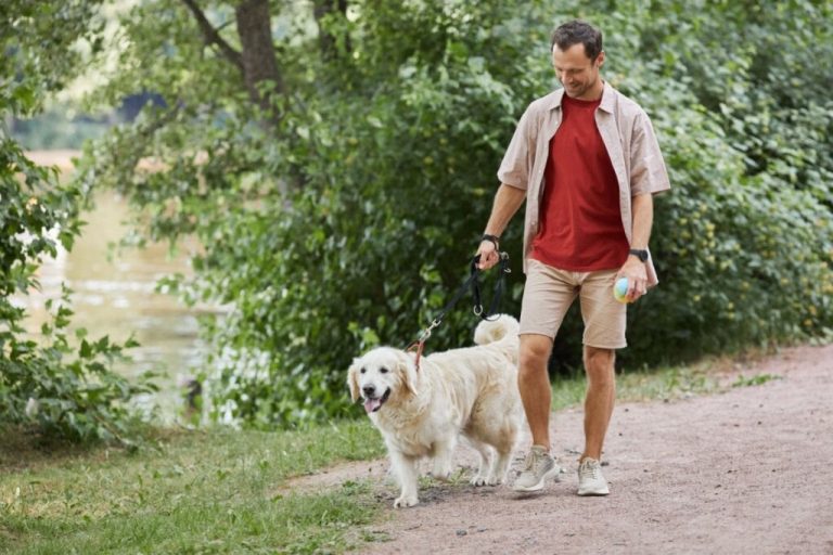 imagem de homem de camiseta vermelha e calça e camisa bege caminhando com cachorro golden retriever em ambiente externo com árvores