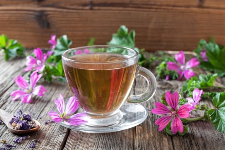 Xícara de chá de malva, rodeada por flores frescas da planta em uma superfície de madeira rústica