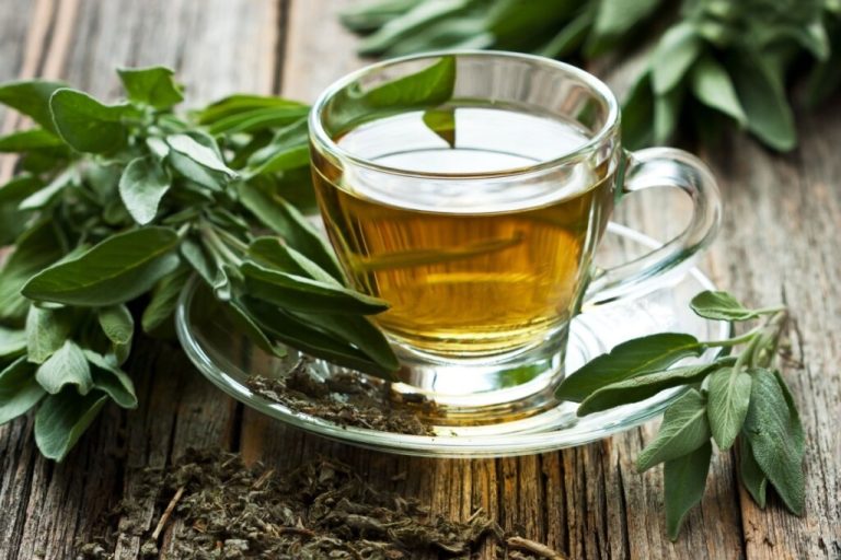 Chá de sálvia servido em xícara de vidro em cima de mesa de madeira com folhas de sálvia ao redor