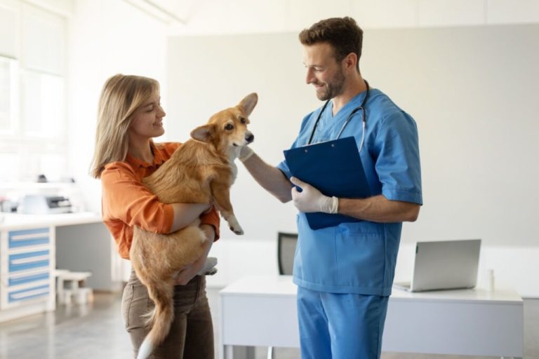 Mulher com cabelo curto e loiro, usando uma camiseta laranja e uma calça bege, com um cachorro no colo e ao lado está o veterinários com roupas azuis de cirurgia fazendo carinho no cachorro