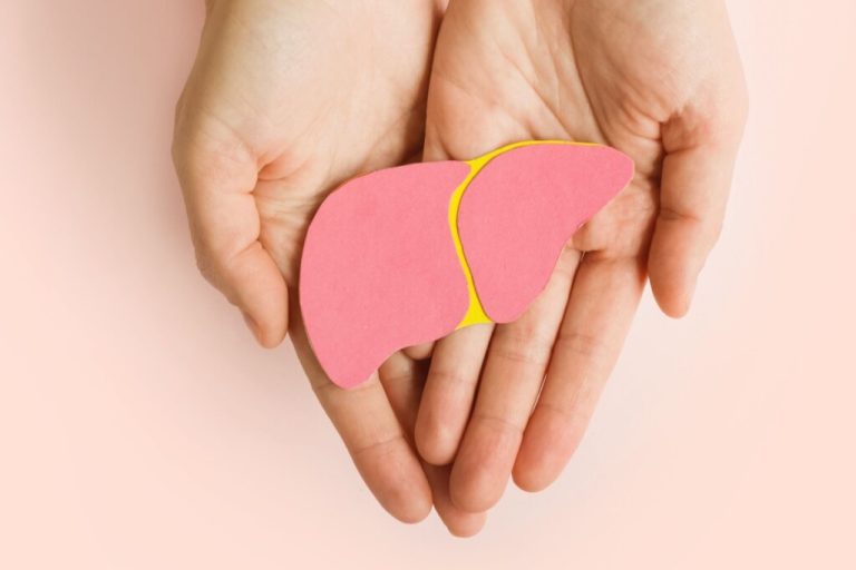 duas mãos segurando ilustração rosa de fígado humano