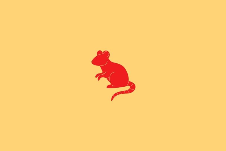 Ilustração do signo de Rato em fundo amarelo, contendo a figura de um rato vermelho com corpo curvado