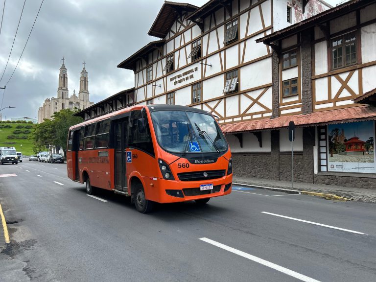 TRANSPORTE COLETIVO - Zuciane Peres (2)
