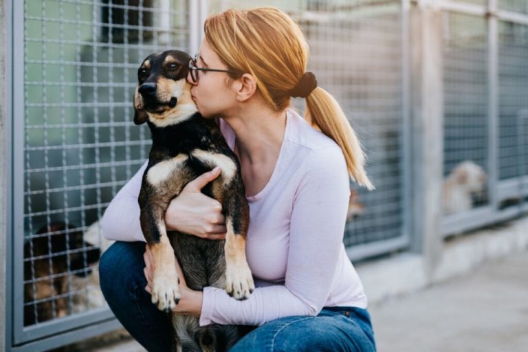 Mulher agachada, abraçando e beijando um cachorro