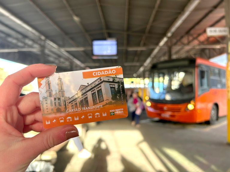 CARTÃO ÔNIBUS - Zuciane Peres (2)