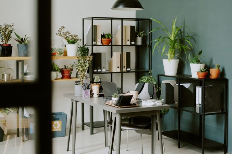Foto de um escritório moderno biofílico com laptop, material de escritório na mesa, várias plantas domésticas em vasos em prateleiras e mesas