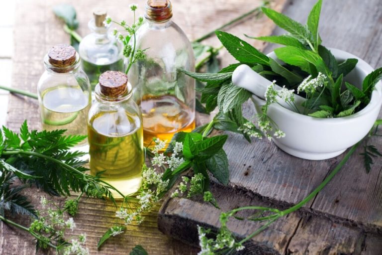 Frascos de vidro com óleos e um pilão com folhas verdes de hortelã e flores pequenas dispostos sobre uma mesa de madeira